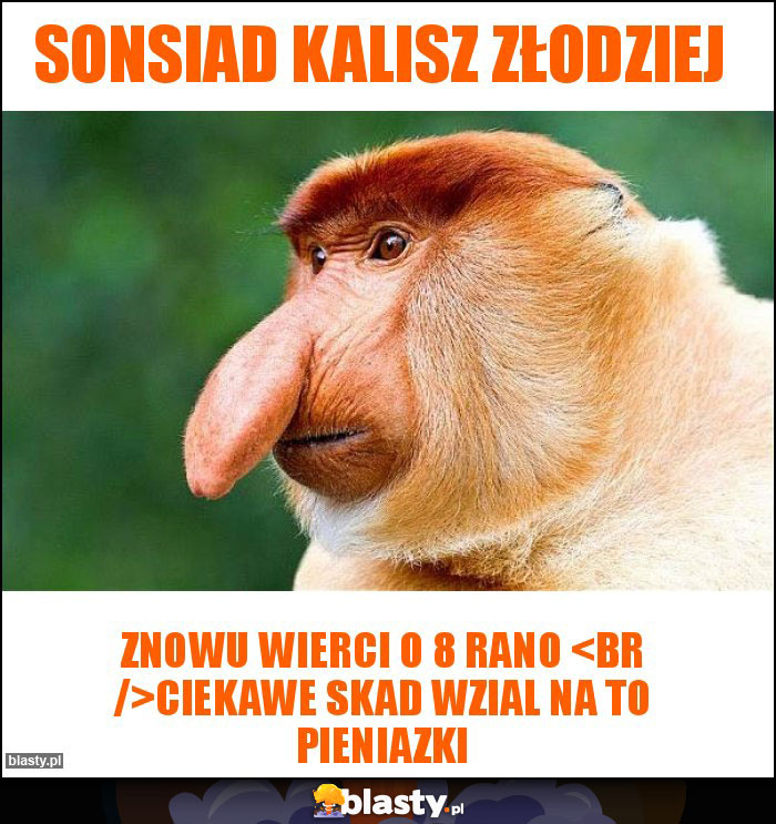 Sonsiad Kalisz Złodziej