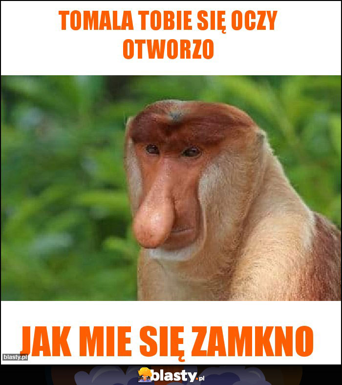 Tomala tobie się oczy otworzo