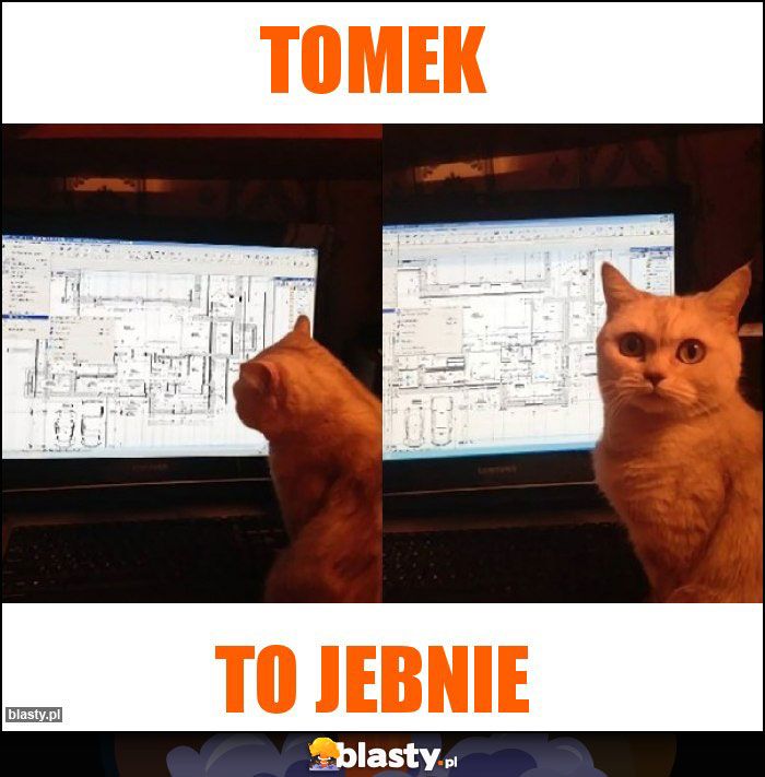 Tomek