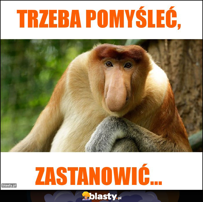 Trzeba pomyśleć,