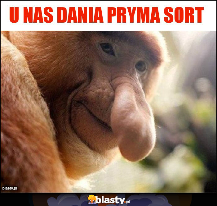 u nas dania Pryma sort