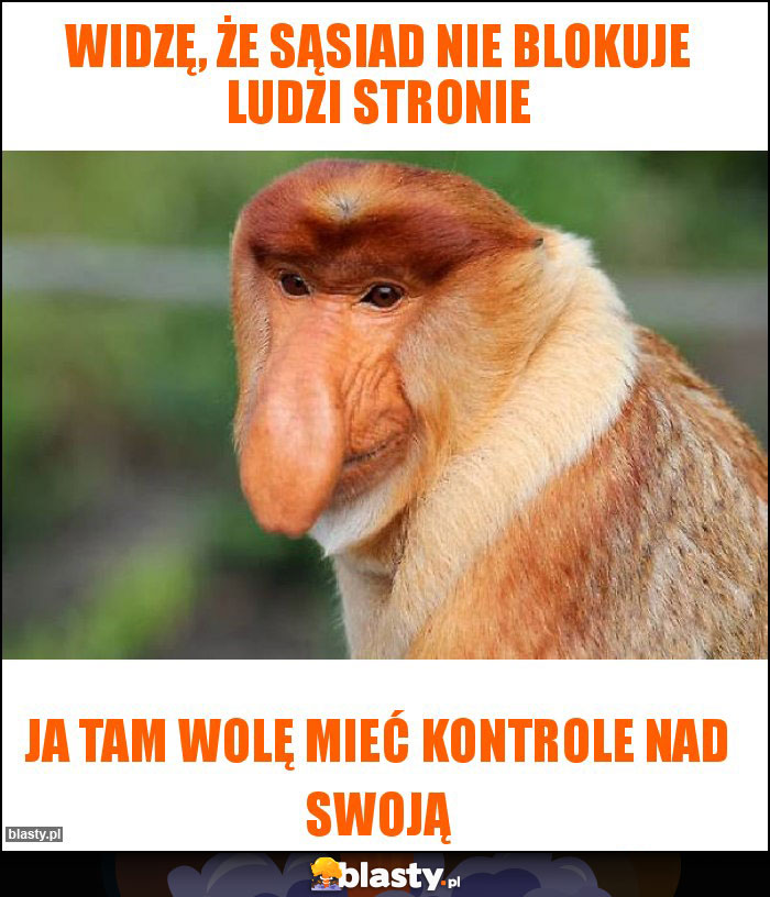 Widzę, że sąsiad nie blokuje ludzi stronie