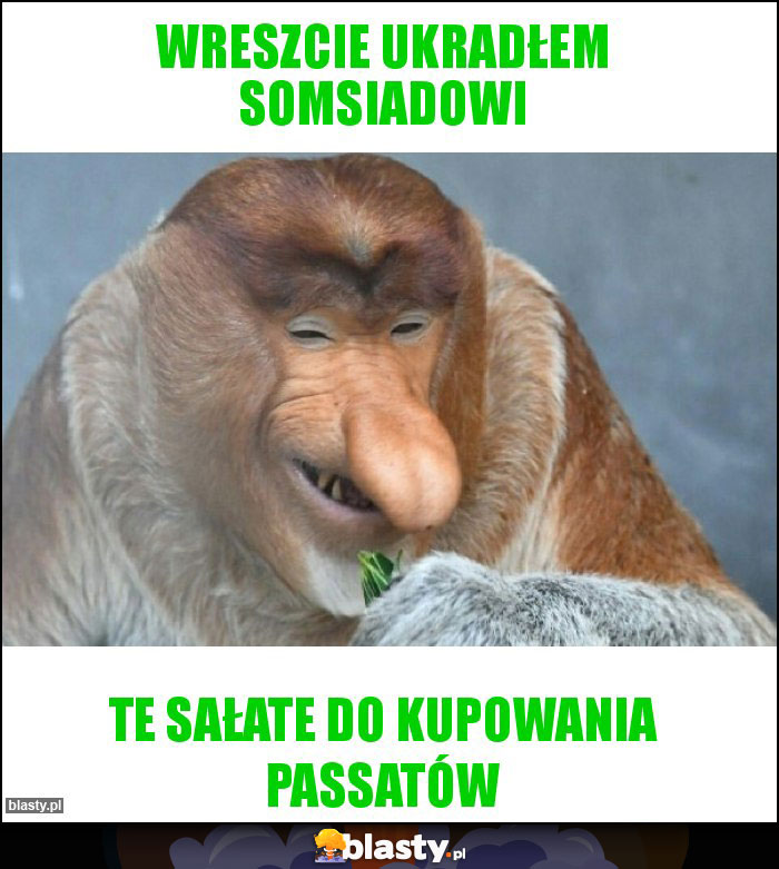 Wreszcie ukradłem somsiadowi