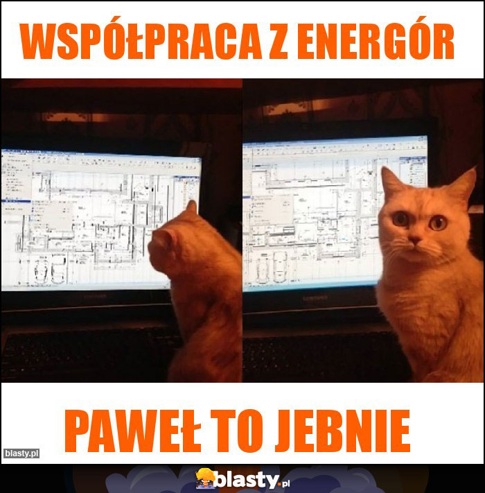 Współpraca z Energór