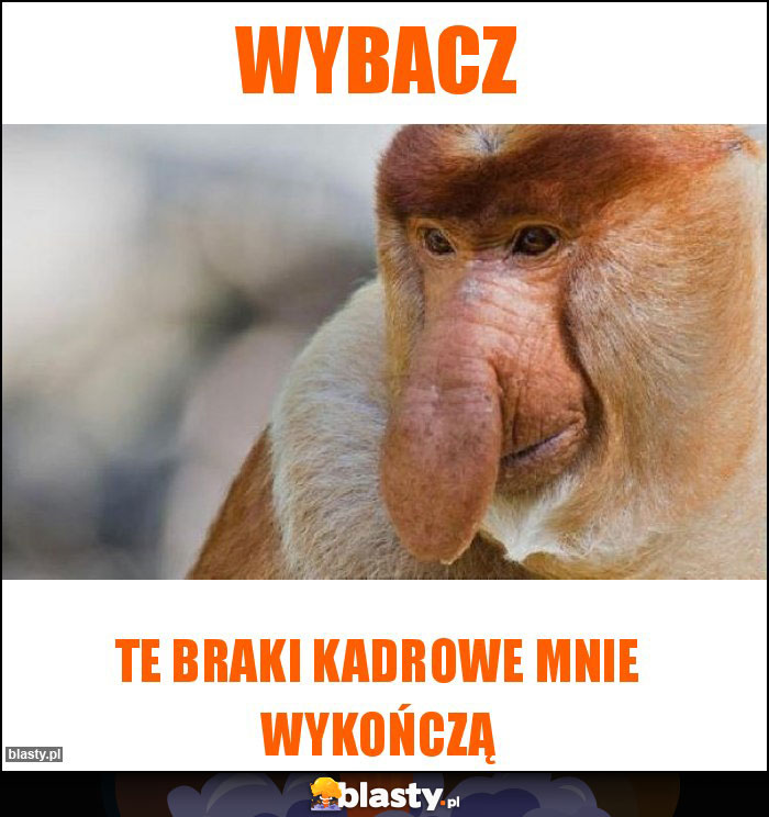 Wybacz