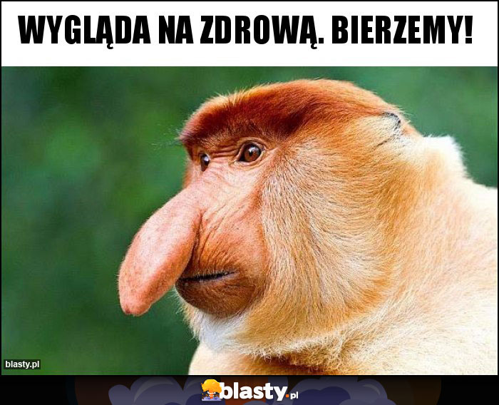 Wygląda na zdrową. Bierzemy!