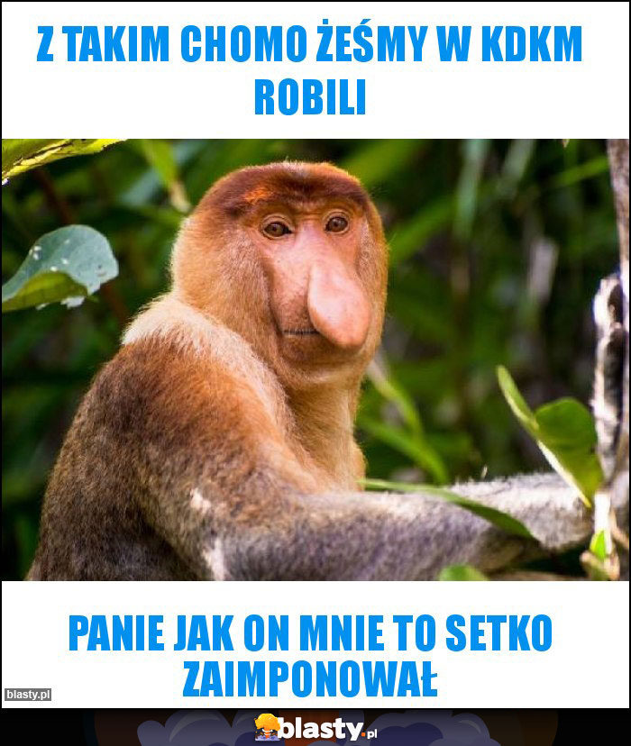 Z takim chomo żeśmy w KDKM robili