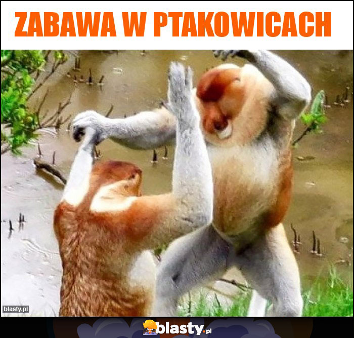 Zabawa w Ptakowicach