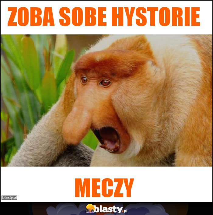 Zoba sobe hystorie