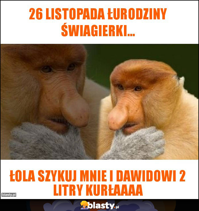 26 listopada łurodziny Świagierki...