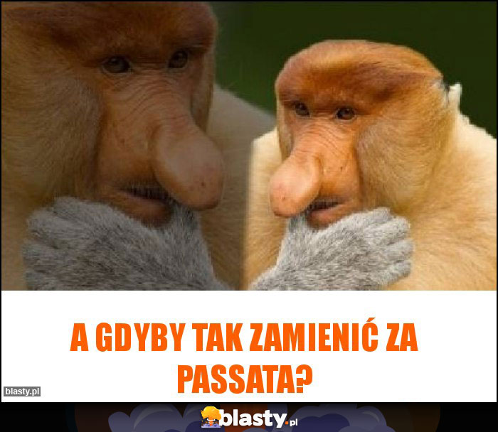 A gdyby tak zamienić za passata?