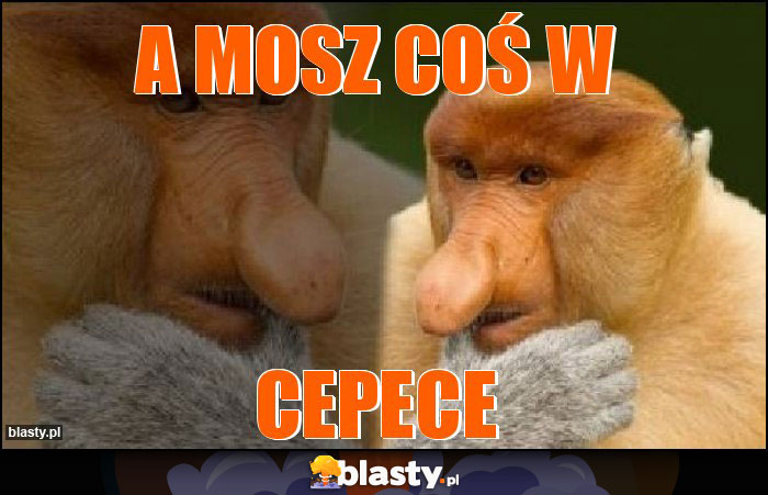 A mosz coś w