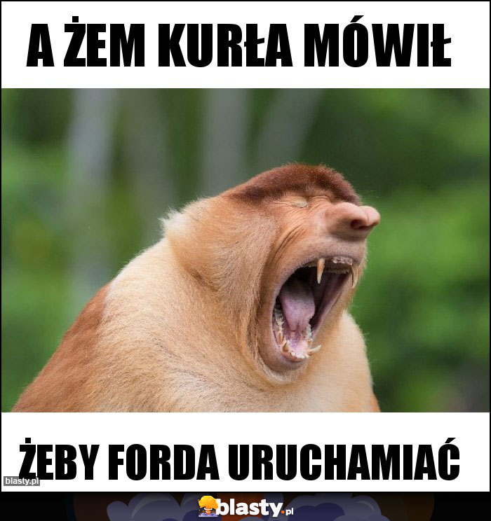 a żem kurła mówił