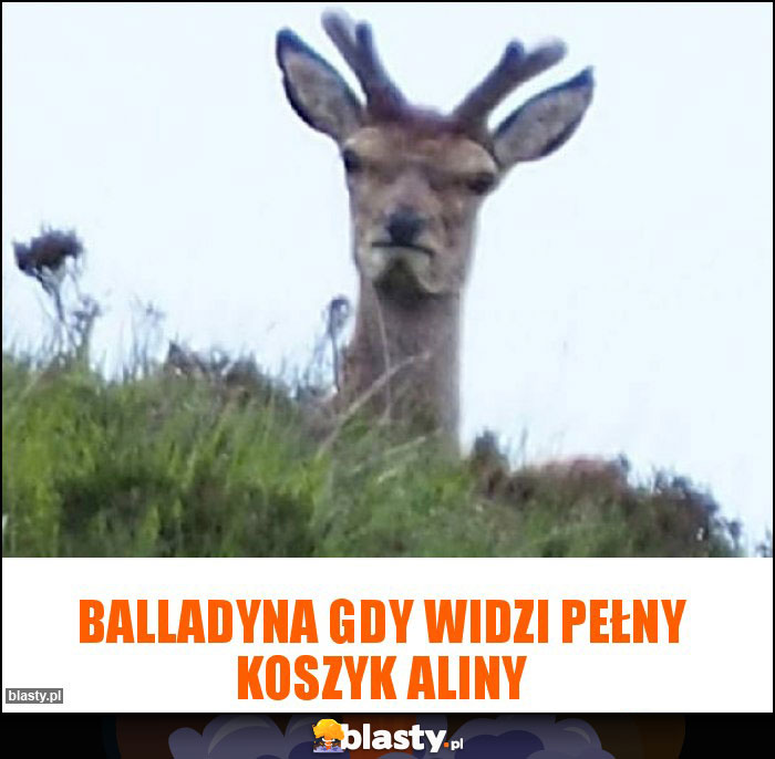 Balladyna gdy widzi pełny koszyk Aliny