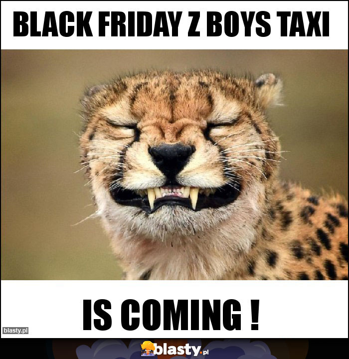 Black Friday z Boys Taxi