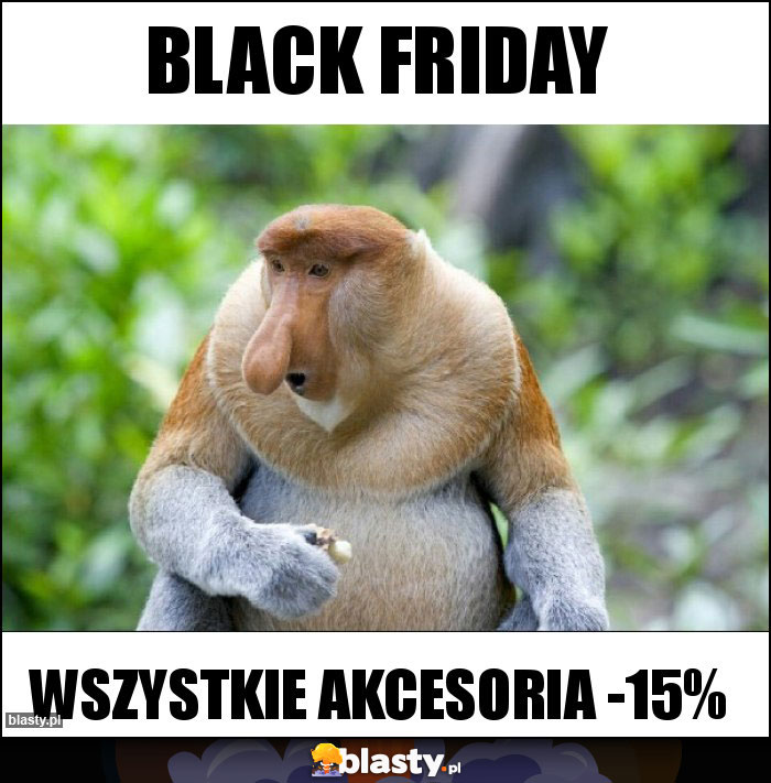 BLACK FRIDAY