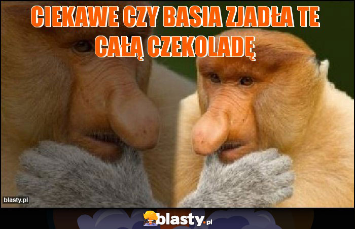 Ciekawe czy Basia zjadła te całą czekoladę