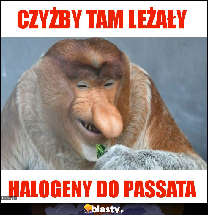 Czyżby tam leżały