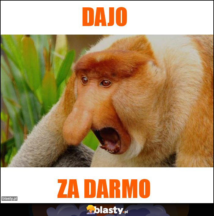 DAJO