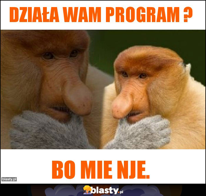 Działa wam program ?