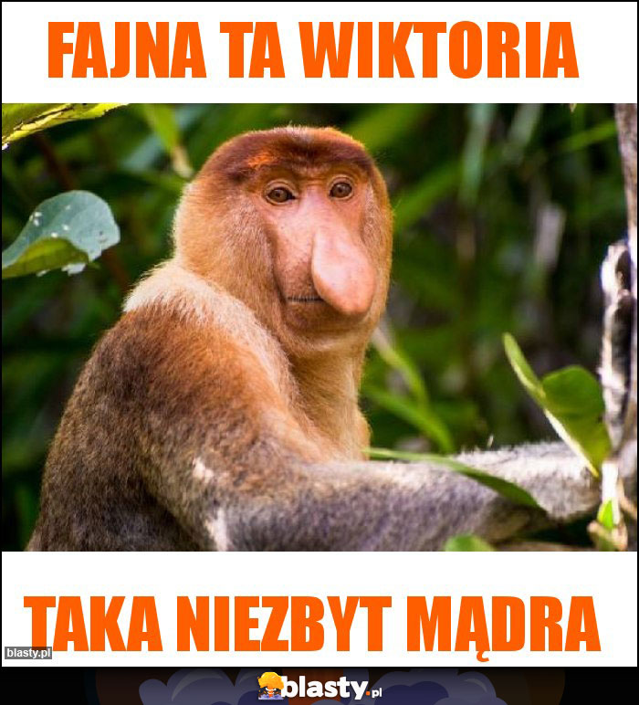 Fajna ta Wiktoria