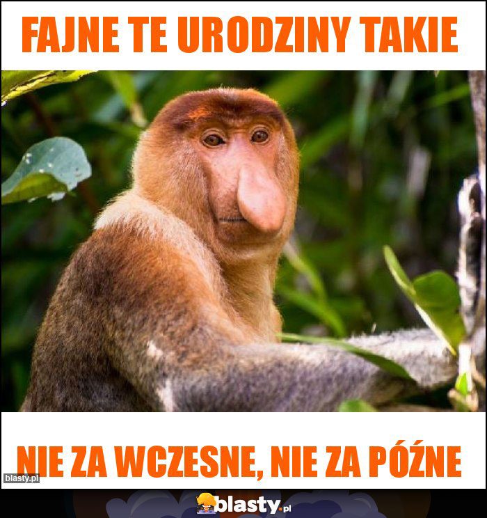 Fajne te urodziny takie