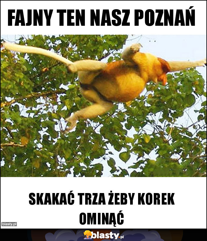 Fajny ten nasz Poznań