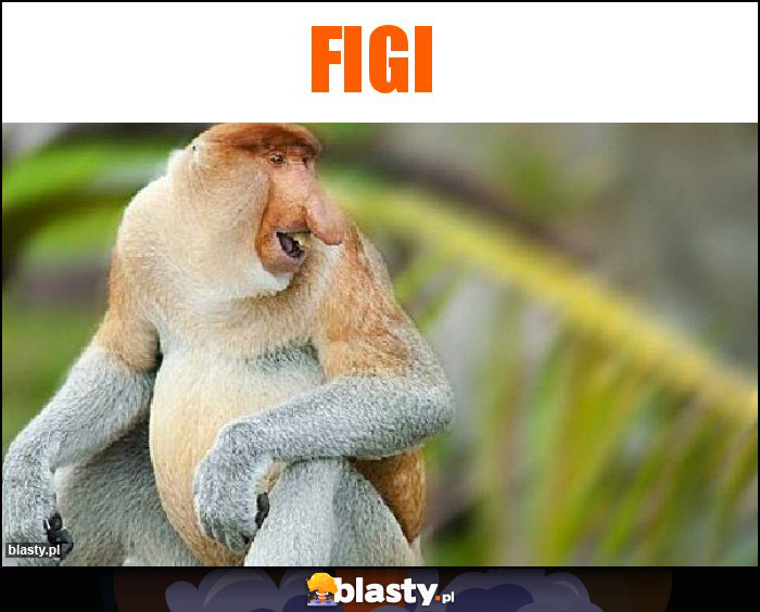 Figi