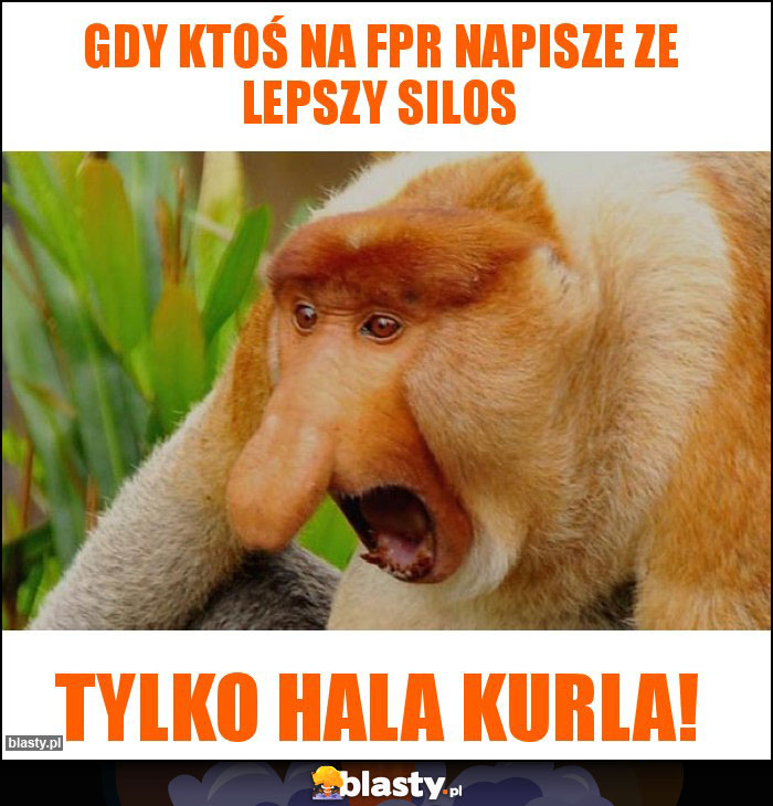 Gdy ktoś na fpr napisze ze lepszy silos