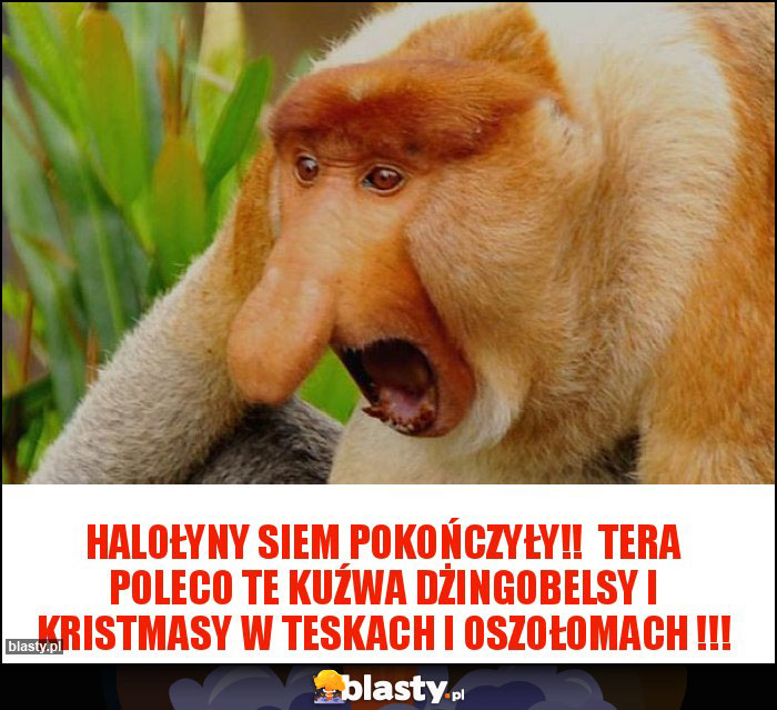 Halołyny siem pokończyły!!  Tera poleco te kuźwa dżingobelsy i kristmasy w teskach i oszołomach !!!