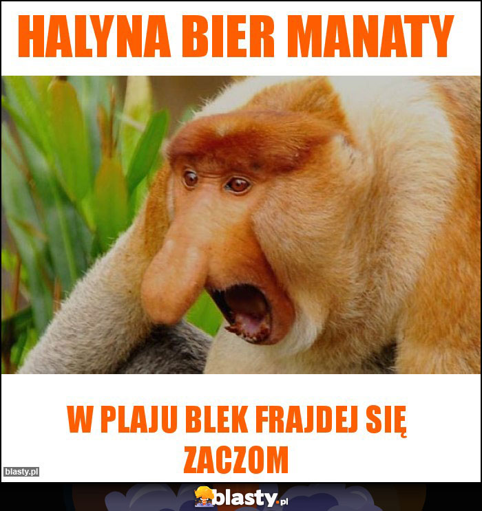 Halyna bier manaty