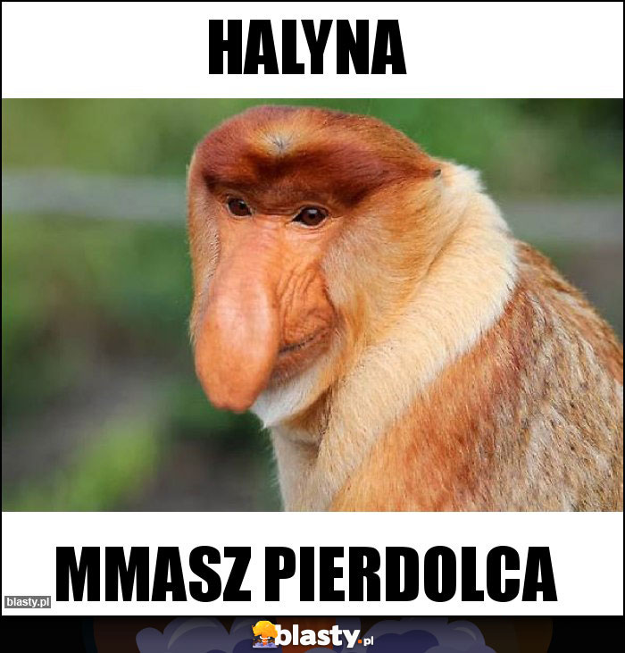 HALYNA