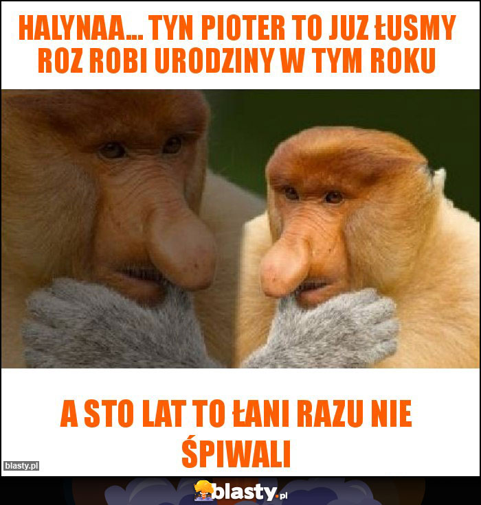 Halynaa... Tyn pioter to juz łusmy roz robi urodziny w tym roku