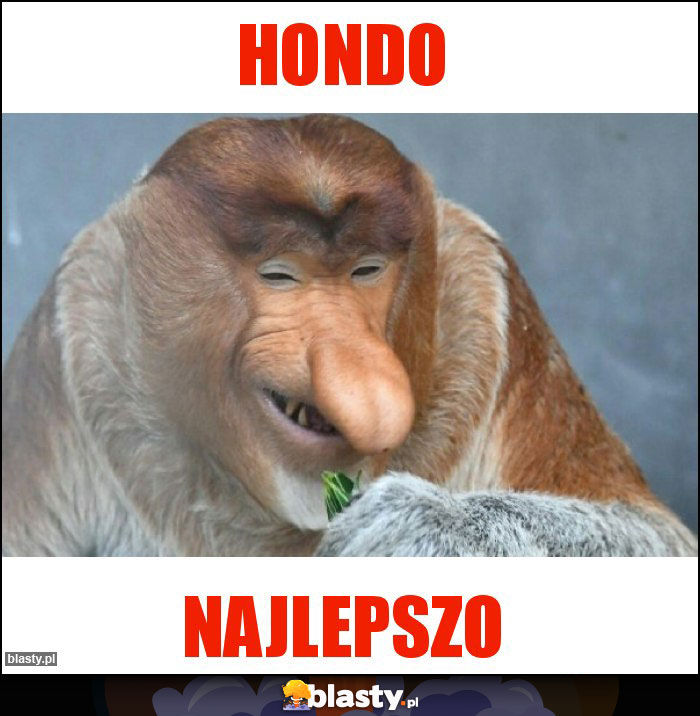 HONDO