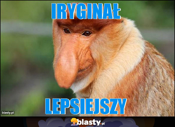 Iryginał