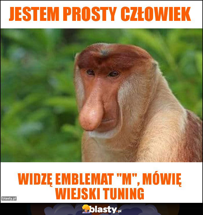 Jestem prosty człowiek