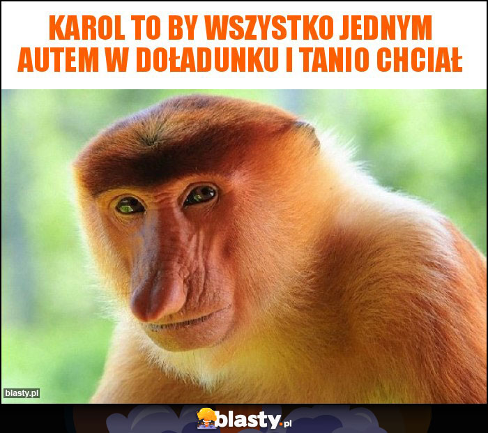 Karol to by wszystko jednym autem w doładunku i tanio chciał