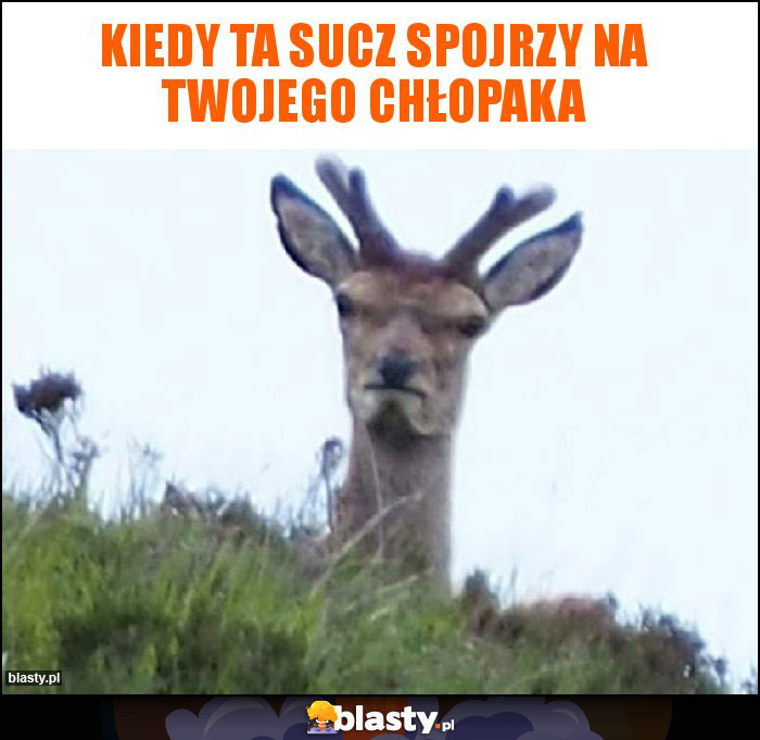 Kiedy ta sucz spojrzy na twojego chłopaka