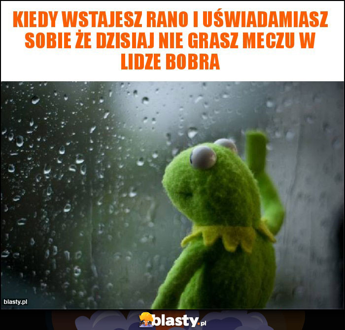 Kiedy wstajesz rano i uświadamiasz sobie że dzisiaj nie grasz meczu w lidze bobra