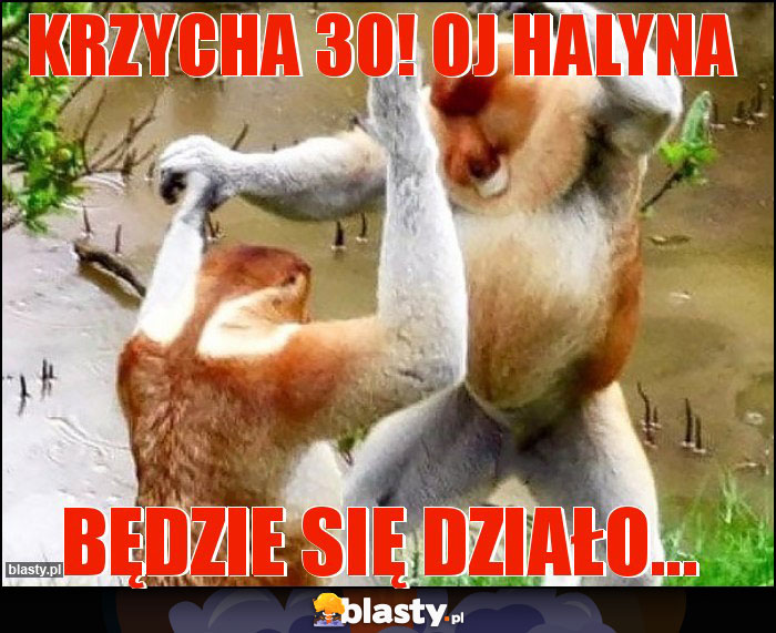 Krzycha 30! Oj halyna