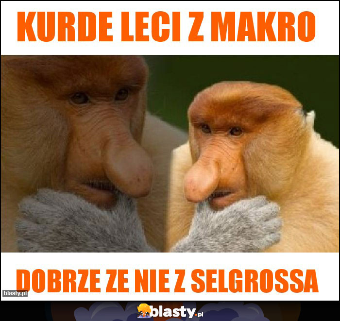 kurde leci z makro