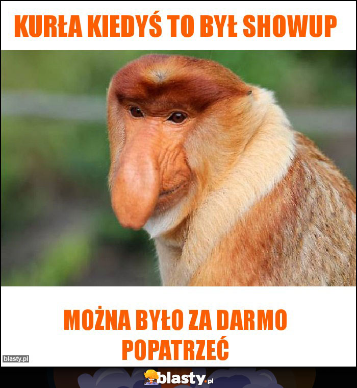 Kurła kiedyś to był Showup