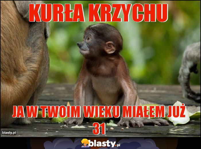 Kurła Krzychu