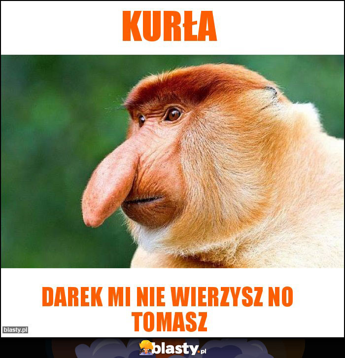 Kurła