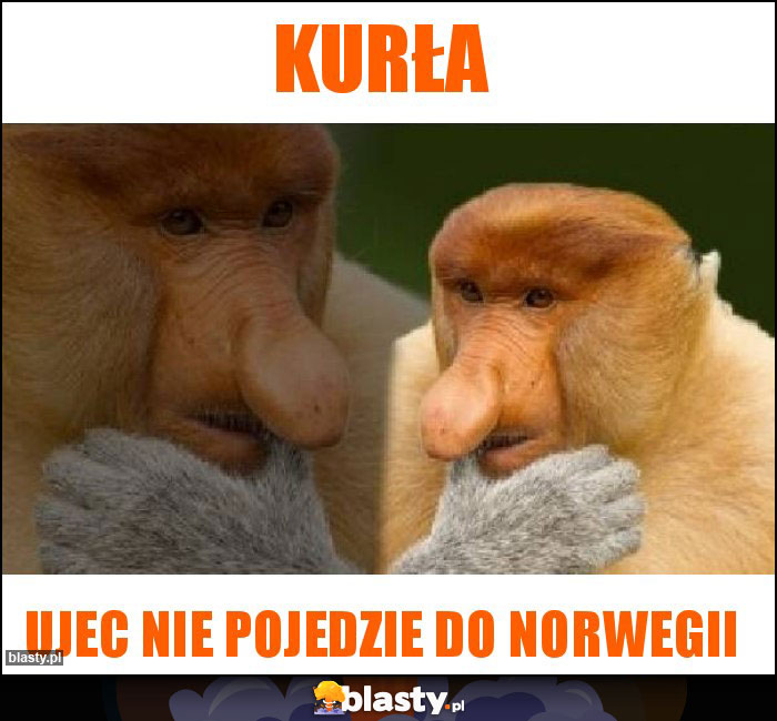 Kurła