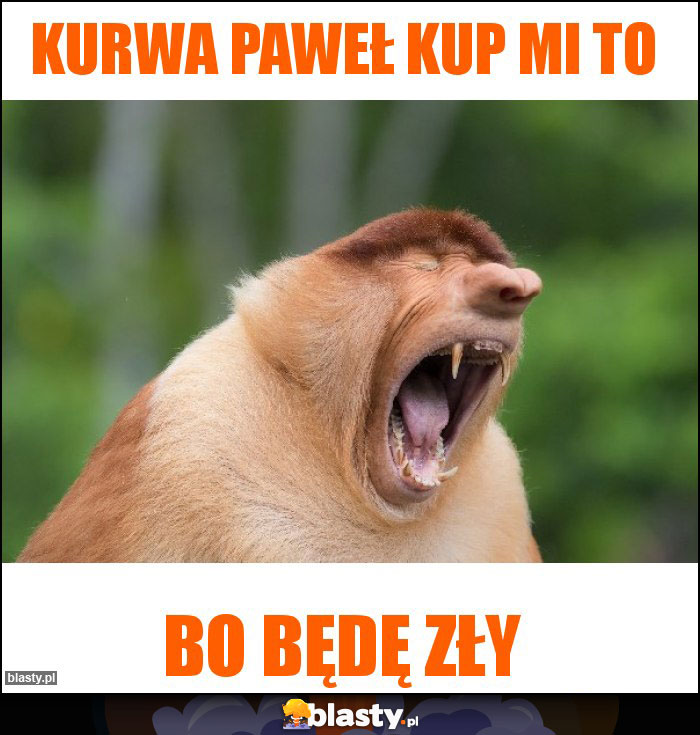 Kurwa Paweł kup mi to