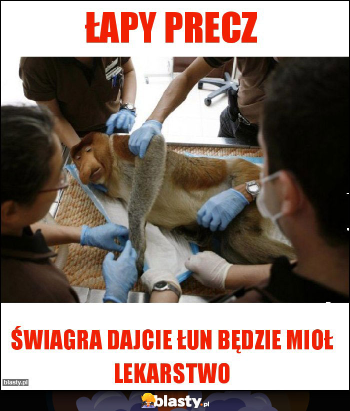 Łapy precz