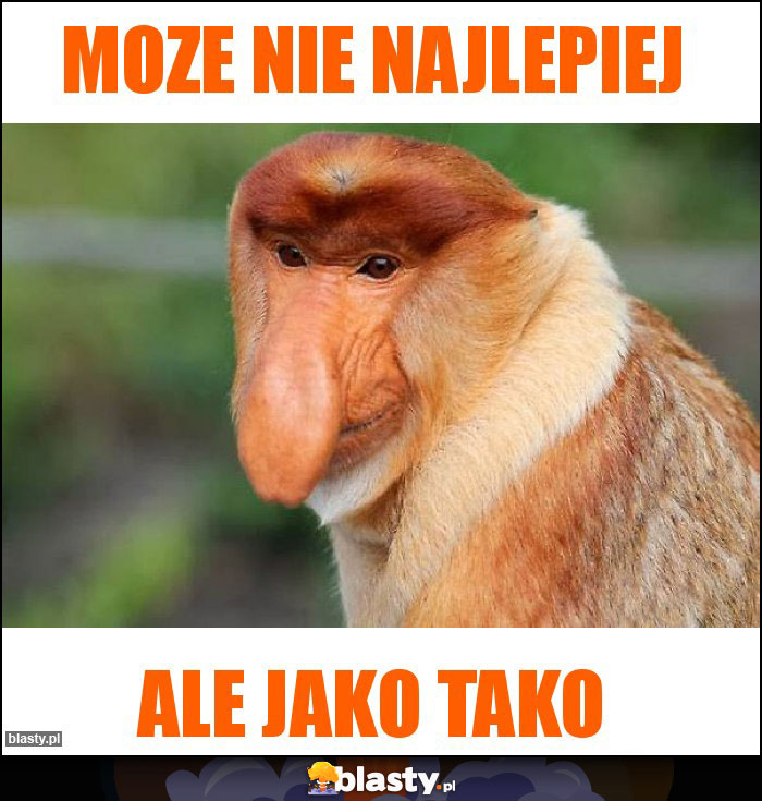 Moze nie najlepiej