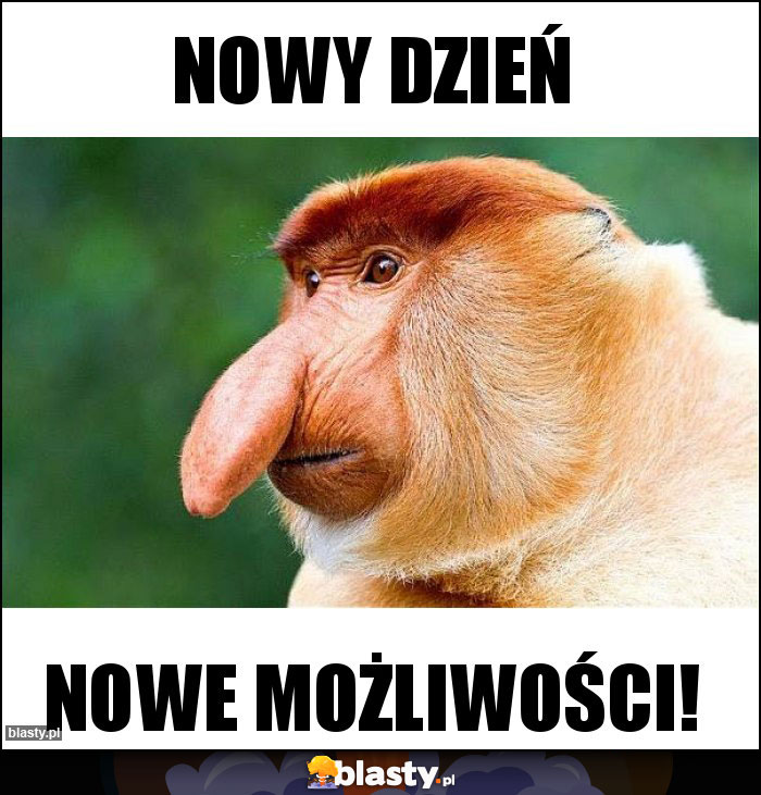 NOWY DZIEŃ