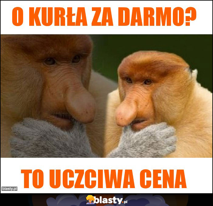 O kurła za darmo?